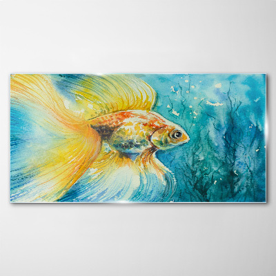 Tableau sur verre Poisson rouge dans l'eau colorée