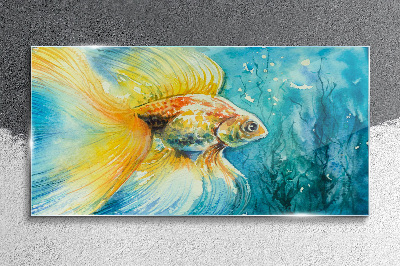 Tableau sur verre Poisson rouge dans l'eau colorée