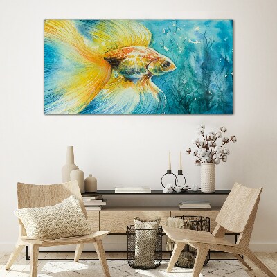 Tableau sur verre Poisson rouge dans l'eau colorée