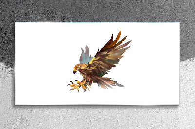 Tableau verre imprimé Faucon doré en vol