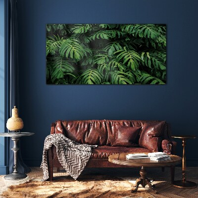 Tableau imprimé sur verre Jungle verte