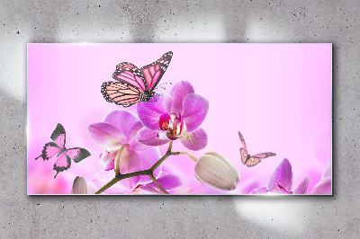 Tableau photo sur verre Un rêve floral avec des papillons