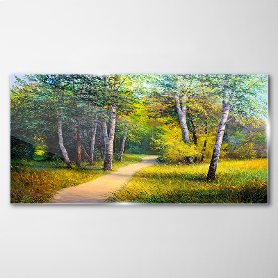 Tableau verre imprimé Un chemin tranquille dans la forêt