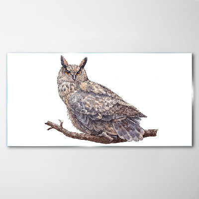 Tableau photo sur verre Chouette sur une branche