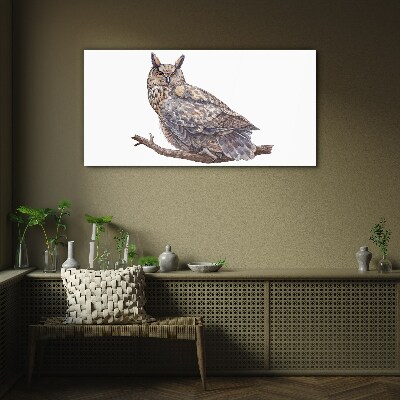 Tableau photo sur verre Chouette sur une branche