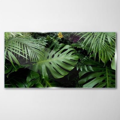 Tableau photo sur verre Verdure tropicale au cœur de la nature