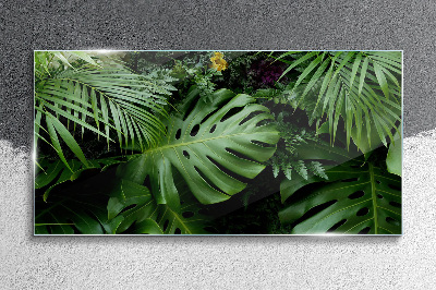 Tableau photo sur verre Verdure tropicale au cœur de la nature