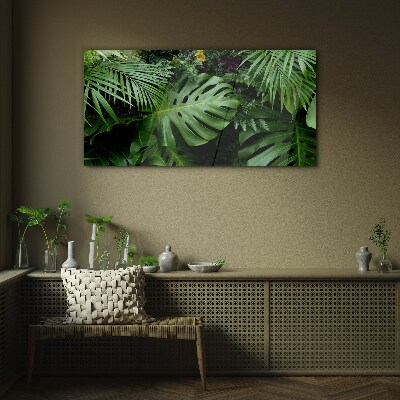 Tableau photo sur verre Verdure tropicale au cœur de la nature
