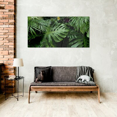 Tableau photo sur verre Verdure tropicale au cœur de la nature