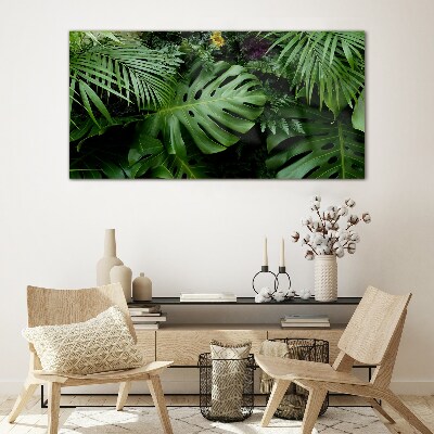 Tableau photo sur verre Verdure tropicale au cœur de la nature