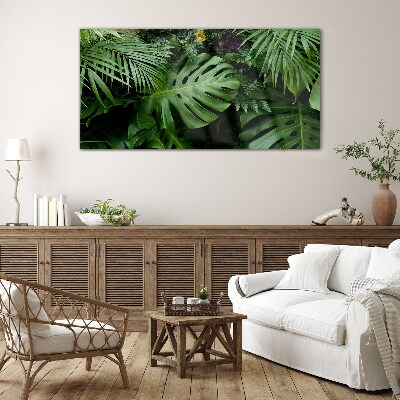 Tableau photo sur verre Verdure tropicale au cœur de la nature