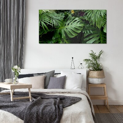 Tableau photo sur verre Verdure tropicale au cœur de la nature