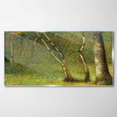Tableau photo sur verre Forêt verte au soleil