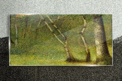 Tableau photo sur verre Forêt verte au soleil