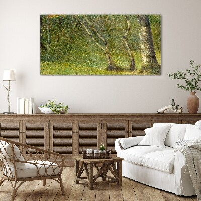 Tableau photo sur verre Forêt verte au soleil