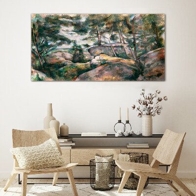 Tableau verre imprimé Un paysage rocheux parmi les arbres