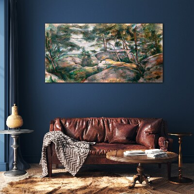 Tableau verre imprimé Un paysage rocheux parmi les arbres