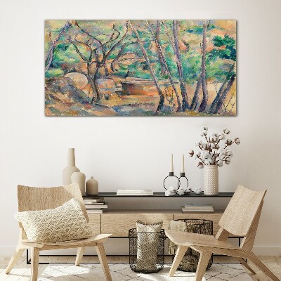 Tableau photo sur verre Paysage parmi les arbres