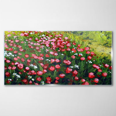 Tableau photo sur verre Une prairie pleine de coquelicots