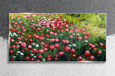 Tableau photo sur verre Une prairie pleine de coquelicots