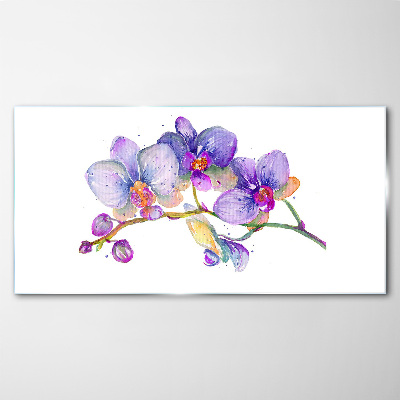Tableau imprimé sur verre La beauté florale des orchidées