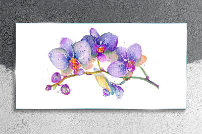 Tableau imprimé sur verre La beauté florale des orchidées