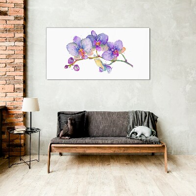 Tableau imprimé sur verre La beauté florale des orchidées
