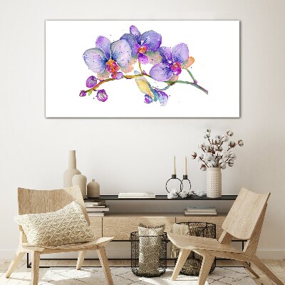 Tableau imprimé sur verre La beauté florale des orchidées