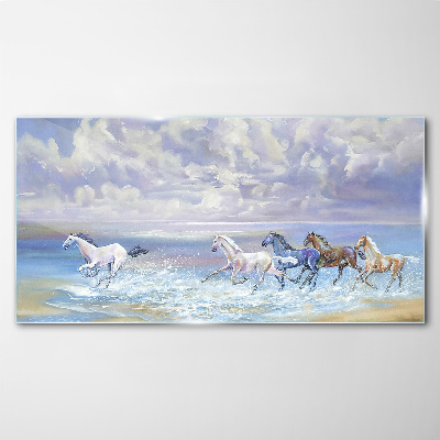 Tableau imprimé sur verre Chevaux blancs en fuite