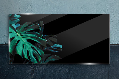 Tableau imprimé sur verre Feuilles vertes sur fond noir