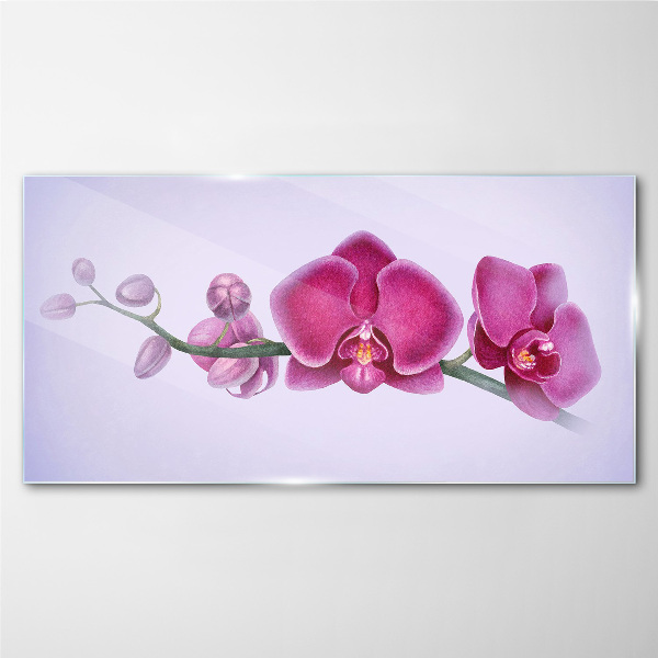 Tableau photo sur verre Orchidées aux délicates nuances de rose