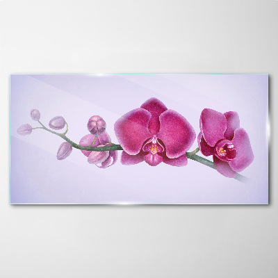 Tableau photo sur verre Orchidées aux délicates nuances de rose