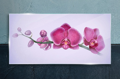 Tableau photo sur verre Orchidées aux délicates nuances de rose