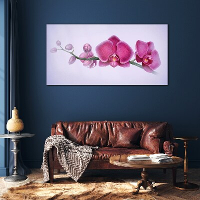Tableau photo sur verre Orchidées aux délicates nuances de rose