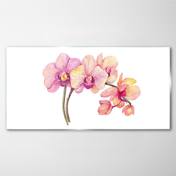 Tableau photo sur verre La beauté florale des orchidées