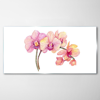 Tableau photo sur verre La beauté florale des orchidées