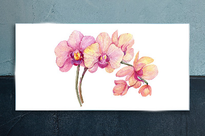 Tableau photo sur verre La beauté florale des orchidées