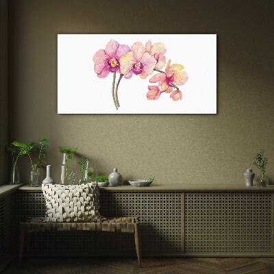 Tableau photo sur verre La beauté florale des orchidées