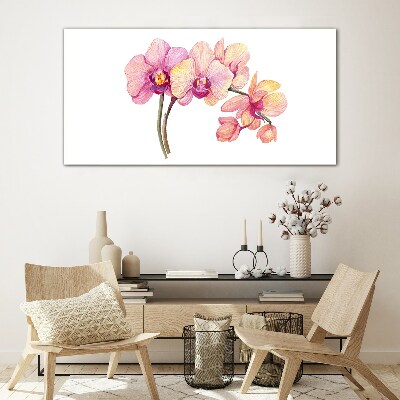 Tableau photo sur verre La beauté florale des orchidées