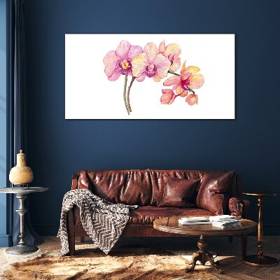 Tableau photo sur verre La beauté florale des orchidées
