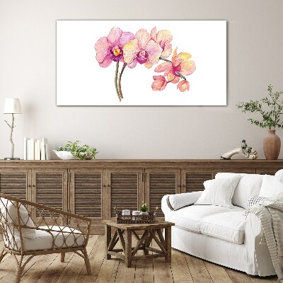 Tableau photo sur verre La beauté florale des orchidées