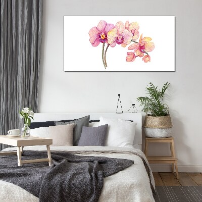 Tableau photo sur verre La beauté florale des orchidées