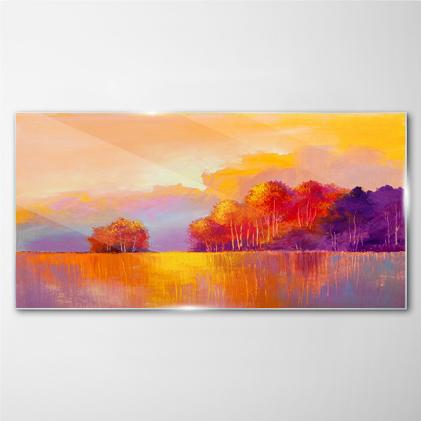Tableau sur verre Coucher de soleil coloré sur la prairie