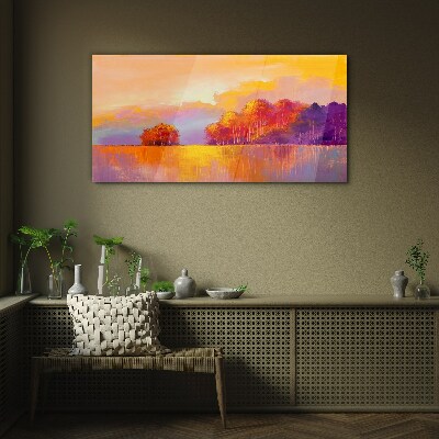 Tableau sur verre Coucher de soleil coloré sur la prairie