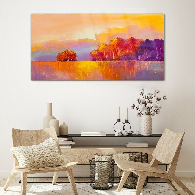 Tableau sur verre Coucher de soleil coloré sur la prairie