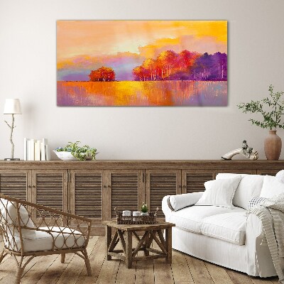 Tableau sur verre Coucher de soleil coloré sur la prairie