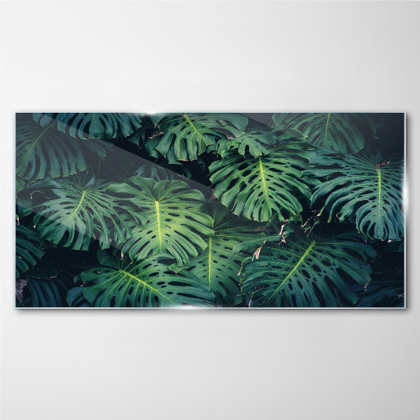 Tableau imprimé sur verre Vert tropical dans les feuilles de monstera