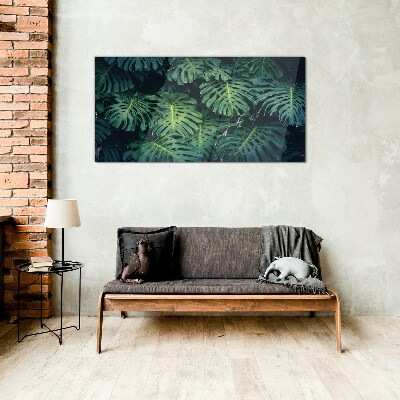 Tableau imprimé sur verre Vert tropical dans les feuilles de monstera