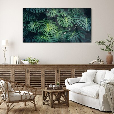 Tableau imprimé sur verre Vert tropical dans les feuilles de monstera