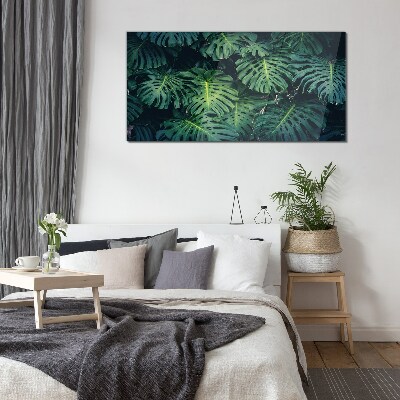 Tableau imprimé sur verre Vert tropical dans les feuilles de monstera